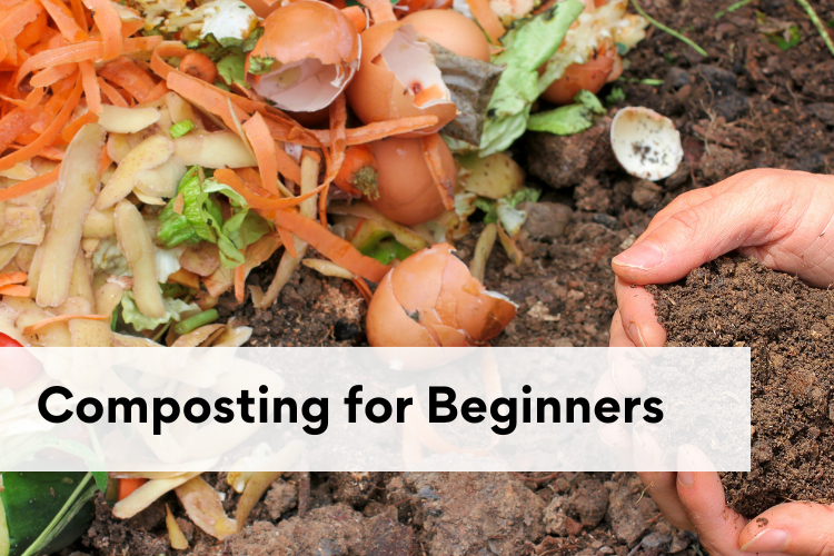 composting for beginners, how to compost